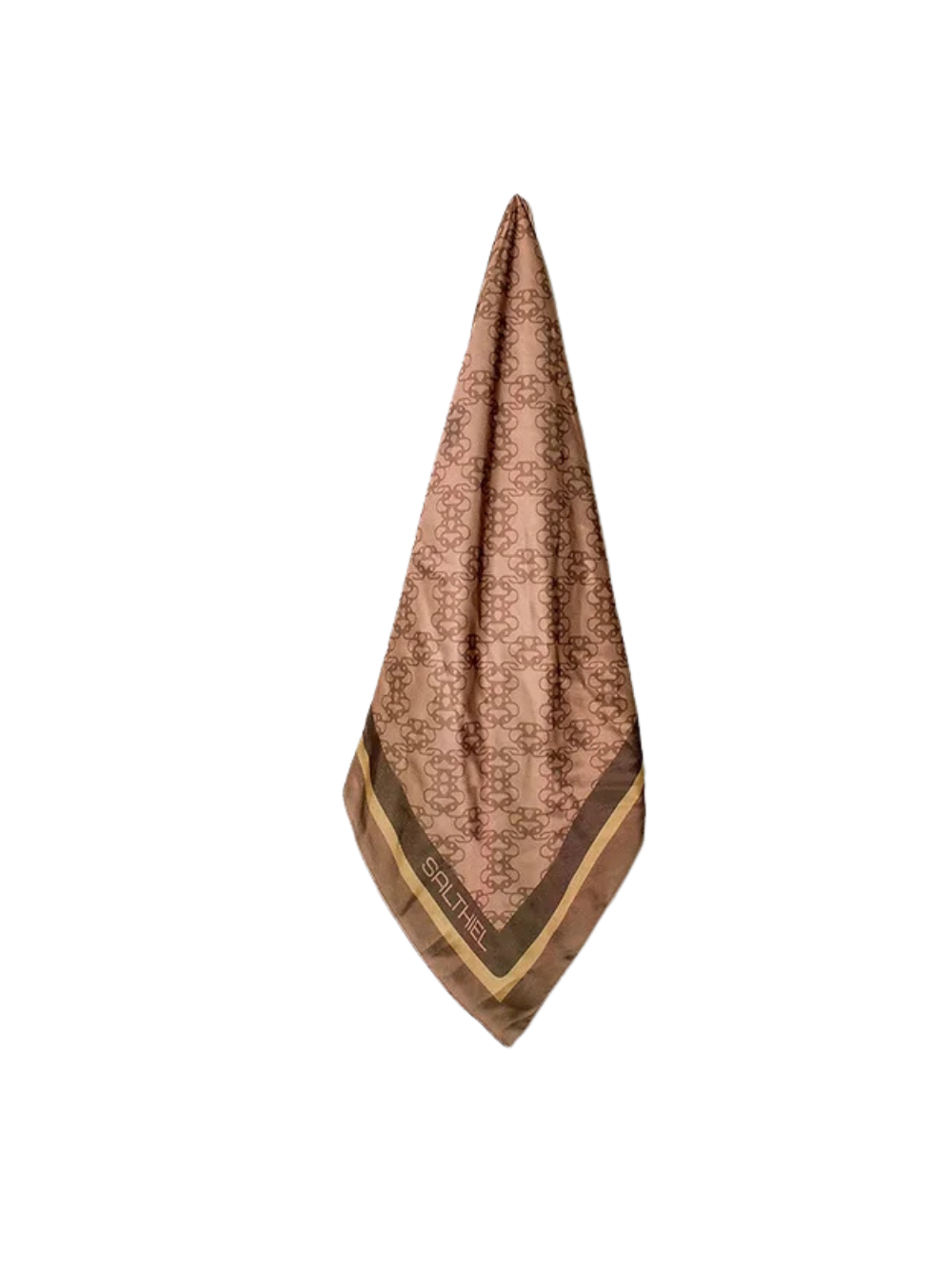 Salthiel Brown/Gold Silk Scarf