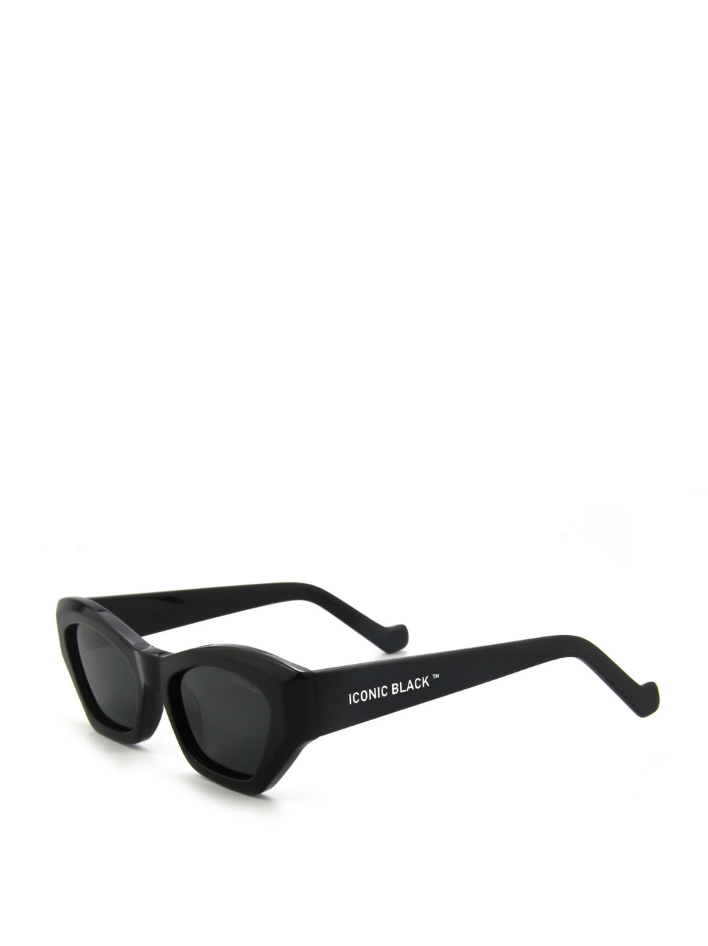 Iconic Black Art Black Sunglasses