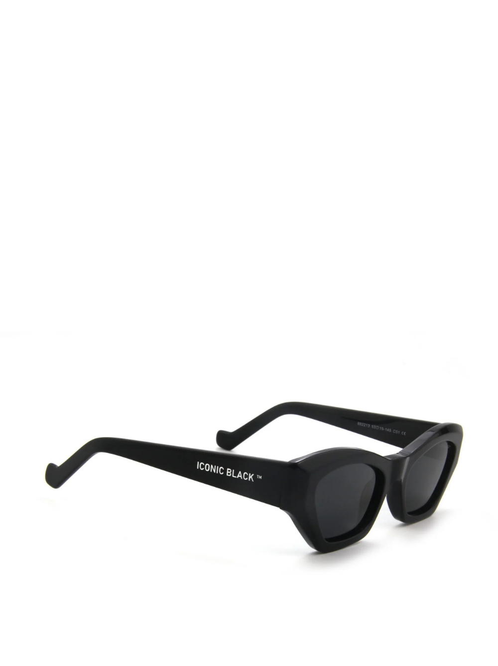 Iconic Black Art Black Sunglasses